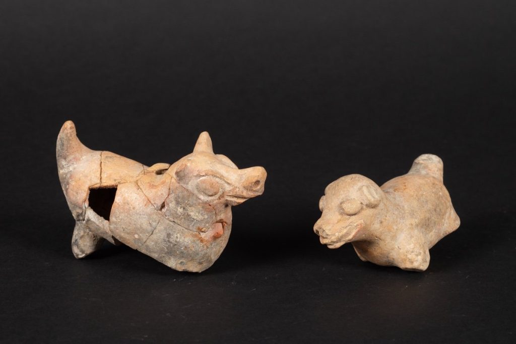 Pre-Columbian pottery from Ecuador depicting animal figurines. One resembles a hairless dog.